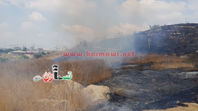 كفر قاسم -فيديو:اندلاع حريق في منتزة عبد الكريم قاسم وطواقم الاطفاء تسيطر على الحريق